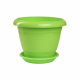 Фестона Зеленый 2,1 л - горшок с поддоном